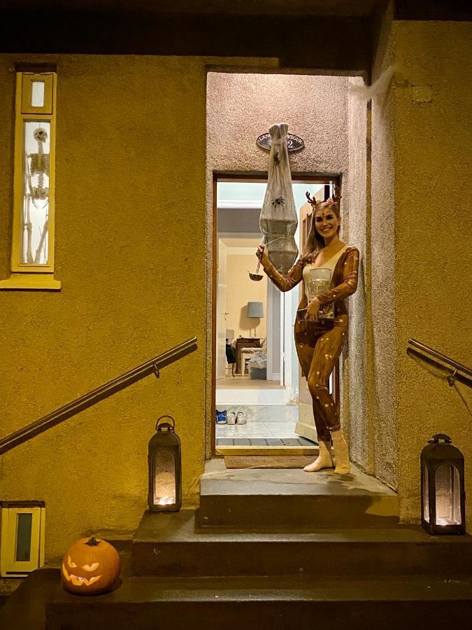 Casa Disa - Dreams, A Boutique Guesthouse In Reykjavik City'S Central Park And Botanical Garden In Laugardalur, Hot-Spring-Valley Exterior photo
