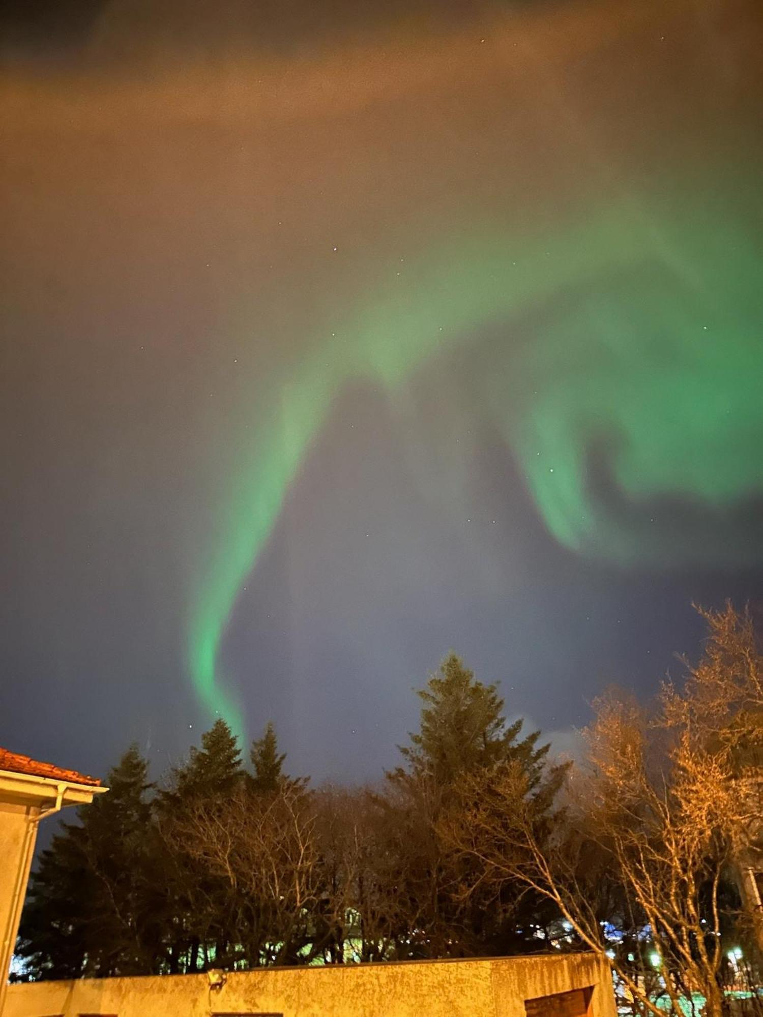 Casa Disa - Dreams, A Boutique Guesthouse In Reykjavik City'S Central Park And Botanical Garden In Laugardalur, Hot-Spring-Valley Exterior photo
